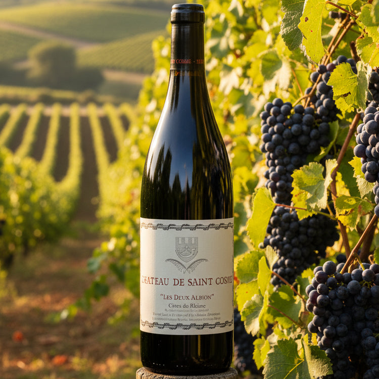 Saint Cosme, Côtes-du-Rhône Les Deux Albion, 2022
