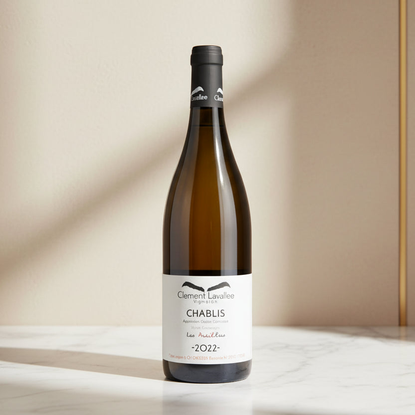 Clement Lavallee, Les Ardillers, 2022