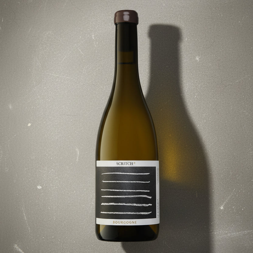 Cyprien Arlaud, Scritch, Bourgogne Blanc, 2023