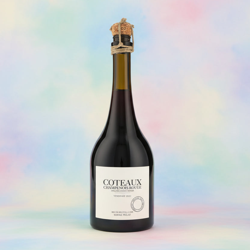 Karine Prelat, Fontaine Dieu Rouge, Coteaux Champenois, 2022