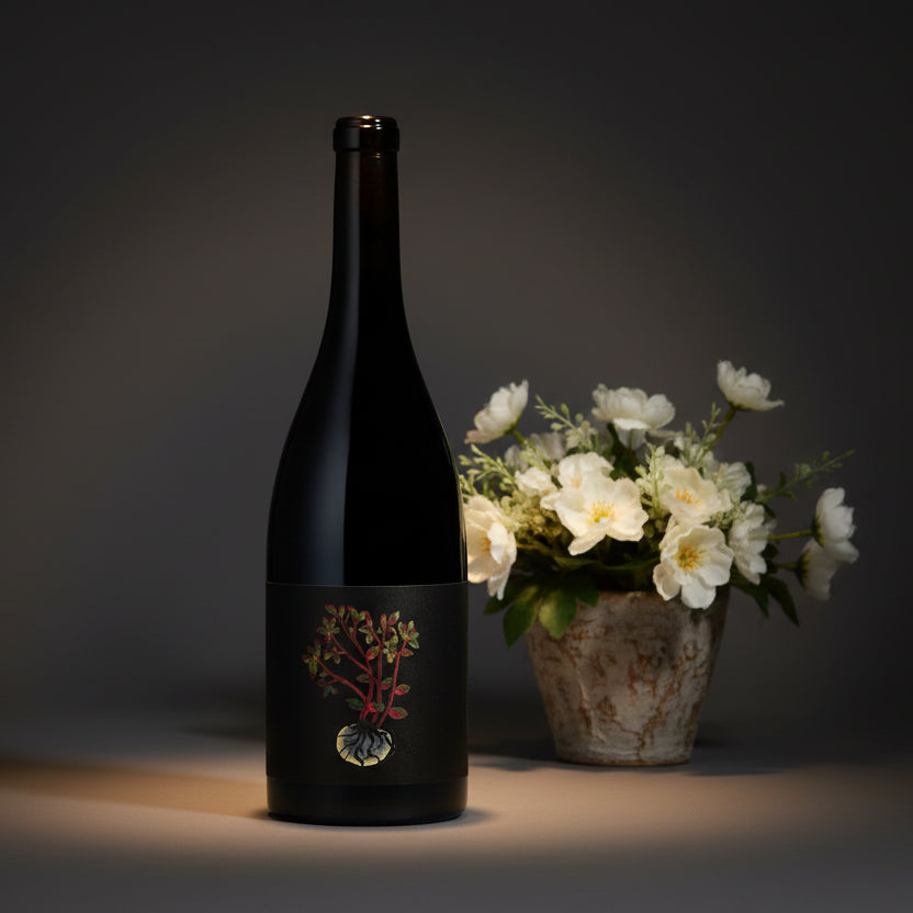 Tailleurs Cueilleurs , Kove, 2022