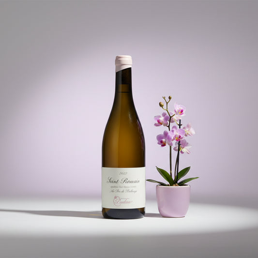 Domaine Truchetet Vignoble de Pauline, Saint Romain, Au Bas de Poillange, 2022
