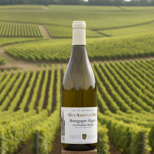 Domaine Amiot Guy & Fils, Aligote "Les Grands Champs, 2020