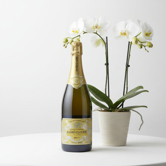 Andre Clouet, Dream Vintage, 2014