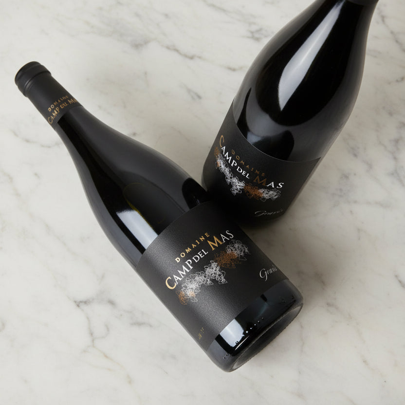 Camp del Mas, Gravis, 2019