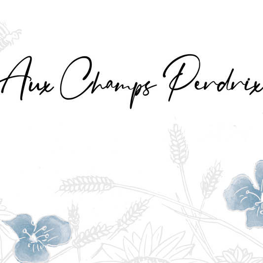 Jeremy Carteret, Aux Champs Perdrix, 2024