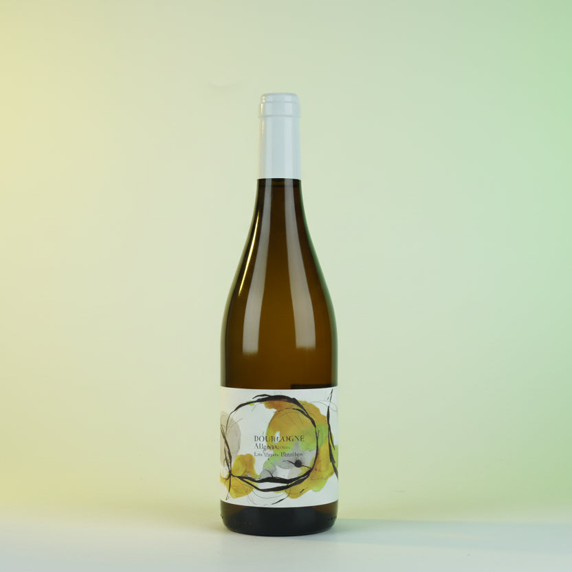 Domaine Didon, Bourgogne Aligote 'Les Vignes Blanches', 2022