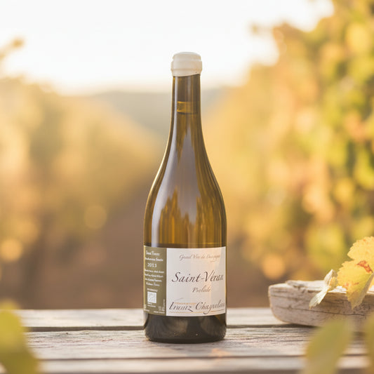 Domaine Frantz Chagnoleau, Prélude, 2023