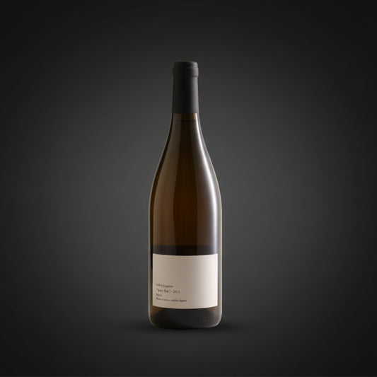 Ludovic Engelvin, Sans Titre, 2015