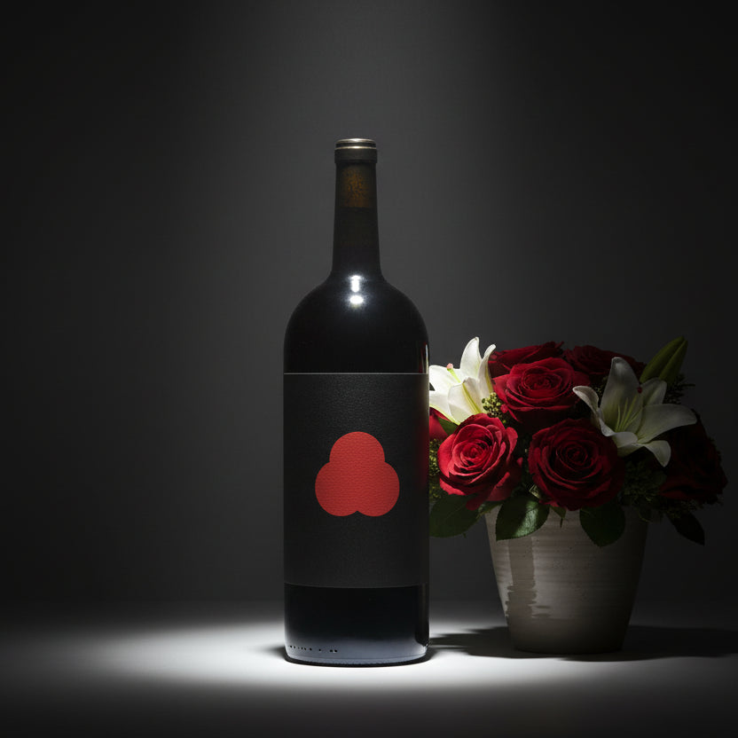 Recerca, Version, 2021